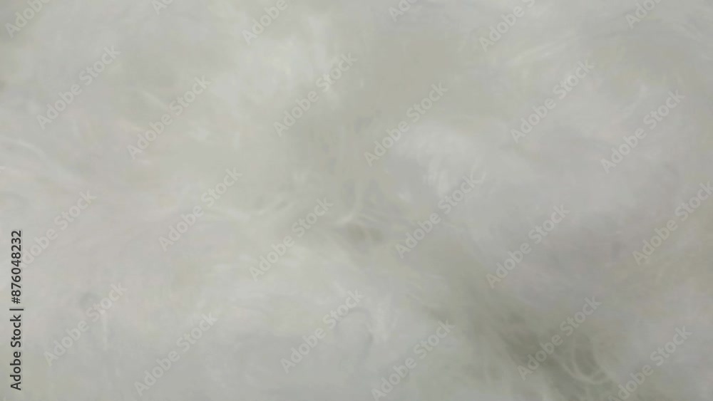 High quality raw soft cotton fiber and its preparation for the textile industry. High quality raw soft cotton fiber and its preparation for the textile industry.