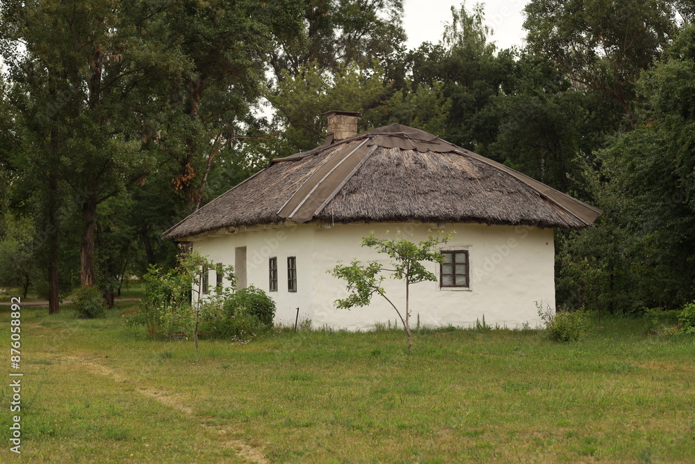 The countryside summer landscape with grass and houses The countryside summer landscape with grass and houses