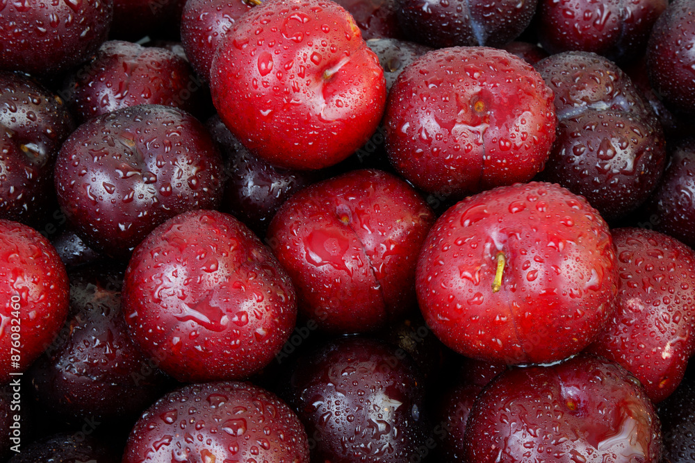 Many plums with water drops as background. Many plums with water drops as background.