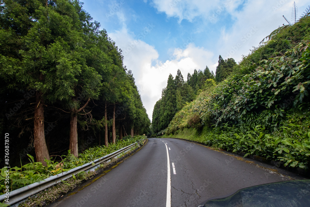 Road curving through a forest with lush green trees and undergrowth on a cloudy day. Road curving through a forest with lush green trees and undergrowth on a cloudy day.