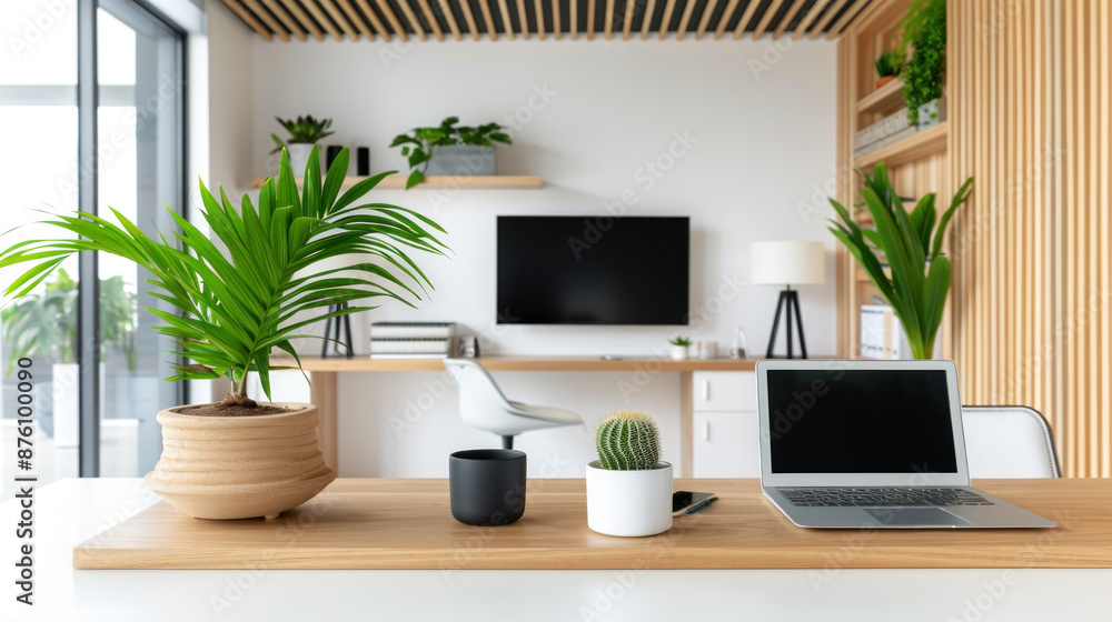 Fototapeta premium Potted plant at modern office with black shade for comfortable work