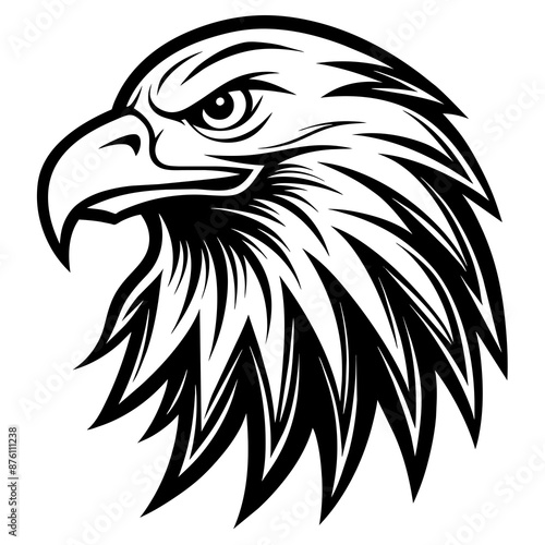 Eagle head vector art illustration photo