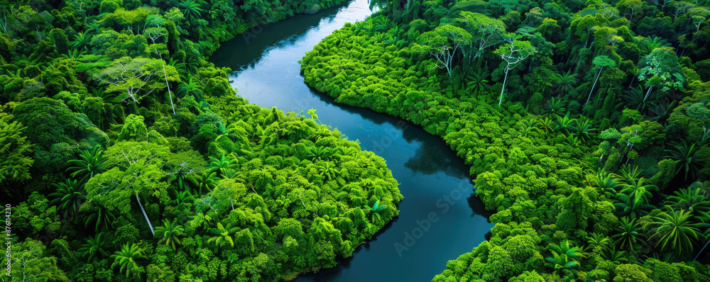lush green jungle foliage with a river running through it lush green jungle foliage with a river running through it