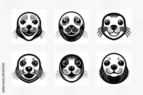 A group of black and white seals faces