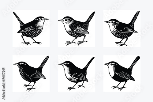 set of birds vector art illustration