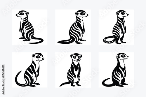 A meerkats with stripes