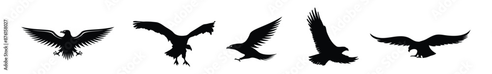 Obraz premium Set of eagles silhouettes.