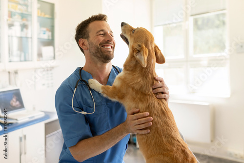 Happy male vet doctor in uniform cuddling and playing with Pembroke Welsh Corgi dog after treatment in clinic office, copy space photo