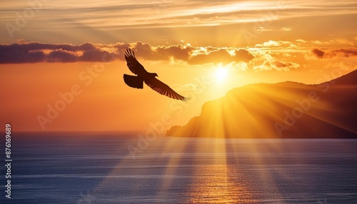 divine sunset ocean bird flying inspirational uplifting beautiful spiritual ethereal hope silhouette sun rays