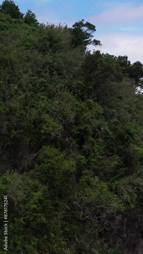 Seixal Town in Porto Moniz and Green Hill. Madeira, Portugal. Aerial Drone Shot. Moving Sideways. Reveal Shot. Vertical Video Seixal Town in Porto Moniz and Green Hill. Madeira, Portugal. Aerial Drone Shot. Moving Sideways. Reveal Shot. Vertical Video
