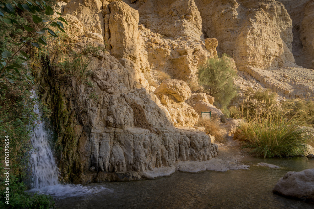 The dry desert, bushes, and the scenic cliffs in the eastern regions of Israel.
The dry desert, bushes, and the scenic cliffs in the eastern regions of Israel.