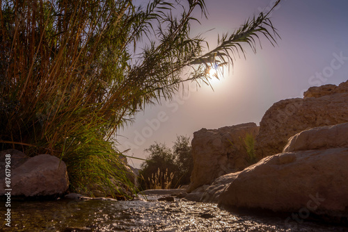 Bild auf Leinwand The refreshing spring between the rocks of Ein Gedi reserve in Israeli desert