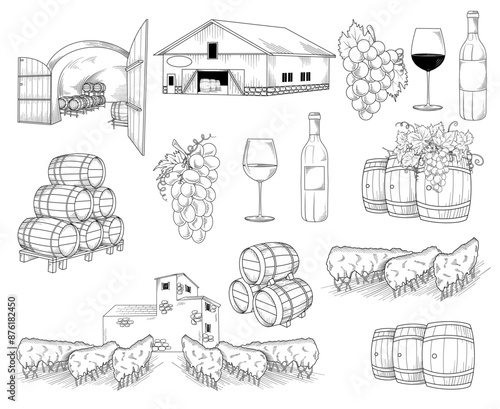 Wine, winery, grapes, vineyard, wine cellar line art drawing, hand drawn vector illustration