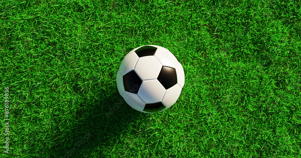 A black and white soccer ball lies on a green lawn, a concept for the European Football Cup final, 3D rendering A black and white soccer ball lies on a green lawn, a concept for the European Football Cup final, 3D rendering