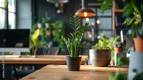 Indoor plants on a wooden table in a home office © Ariestia