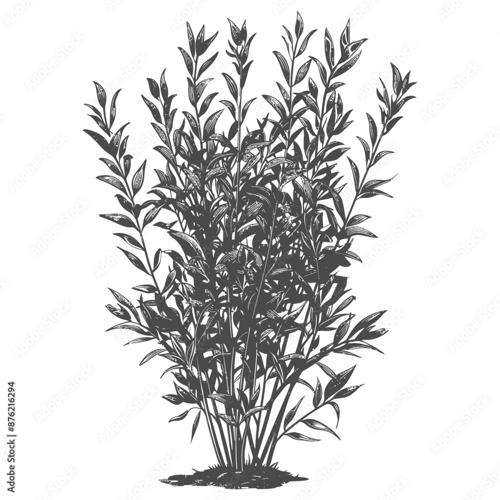 Obraz premium Ornate detailed line drawing of a shrub with long thin leaves