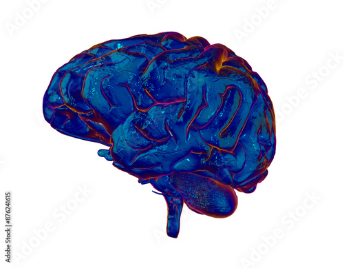 Human Brain Render