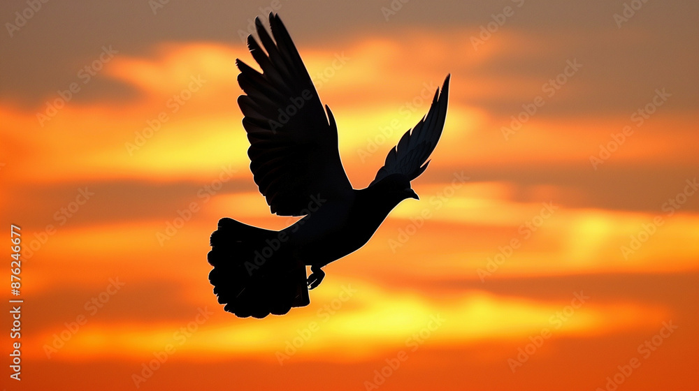 Obraz premium Bird in flight against a vibrant sunset sky.