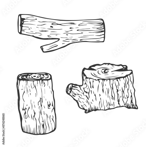 Wood twigs and logs. Tree branches and stumps in hand drawn line art style. Ink contour sketch on white background