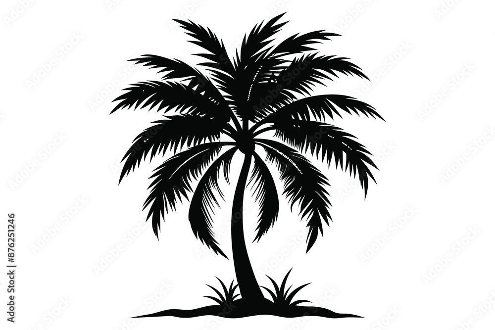 Obraz premium palm tree silhoutte white background.eps