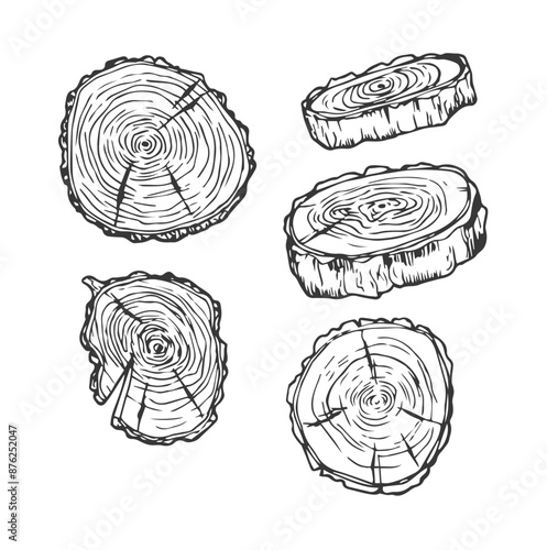 Tree ring wood circle line art set. Hand drawn tree ring pattern, line ripple circle wood texture. Wood organic slice line design. Vector illustration.