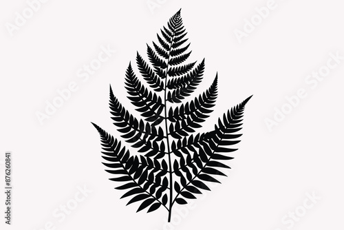 fern frond silhouette vector illustration.eps