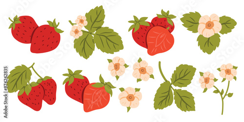 Red Berry Strawberry and a Half of Strawberry. Flat Set Flower, Petal, Strawberry Isolated on White Background