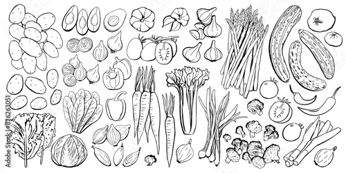 Vegetables Colored Icon Set. Vector Illustration in Black Lines Isolated on White Background