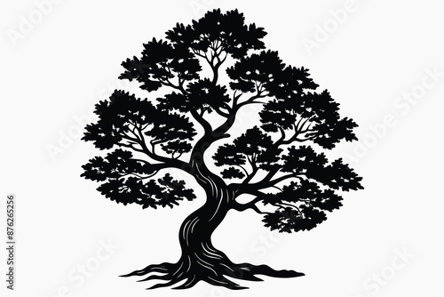 juniper tree silhouette vector illustration.eps