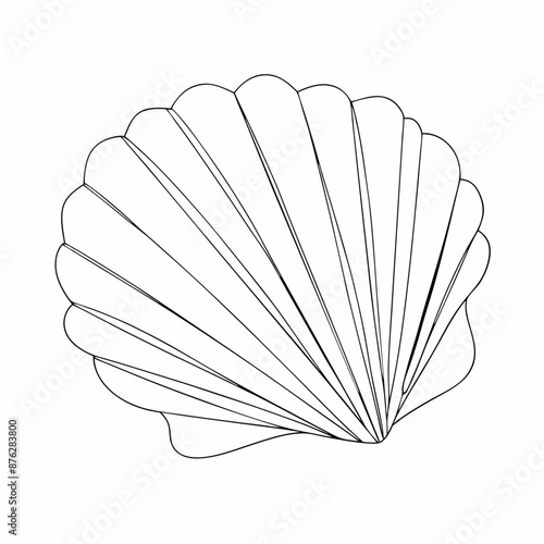 Continuous line drawing seashell sketch, (9)