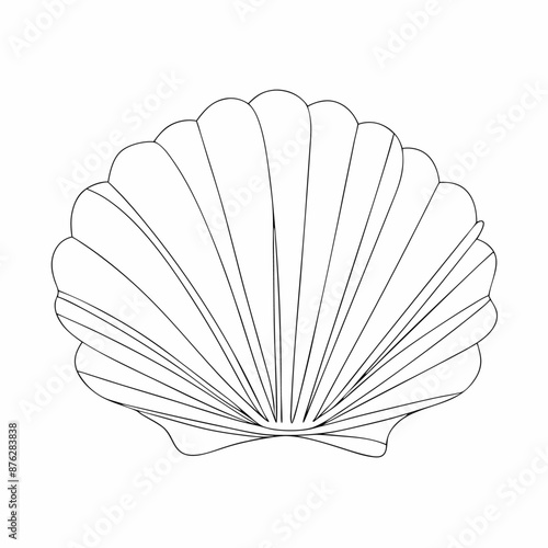 Continuous line drawing seashell sketch, (10)