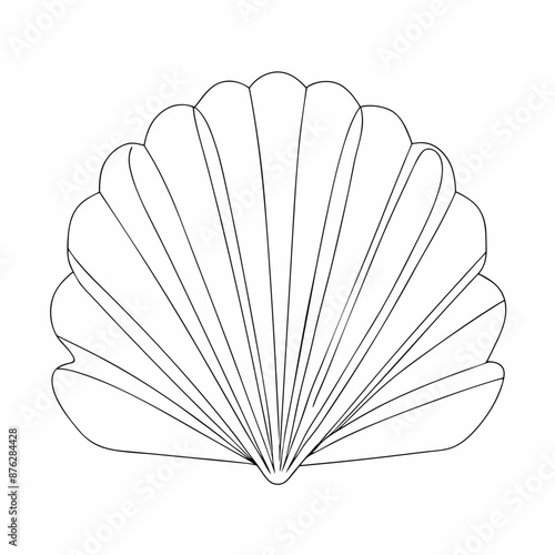 Continuous line drawing seashell sketch, (33)