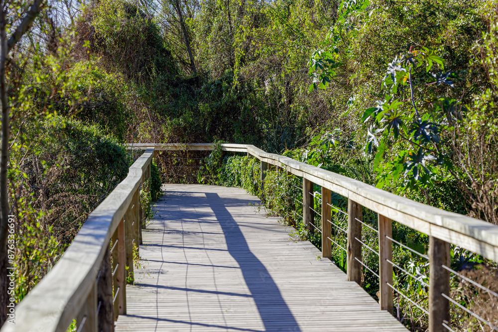 Wooden walkway in the Costanera Sur ecological reserve in the city of Buenos Aires.