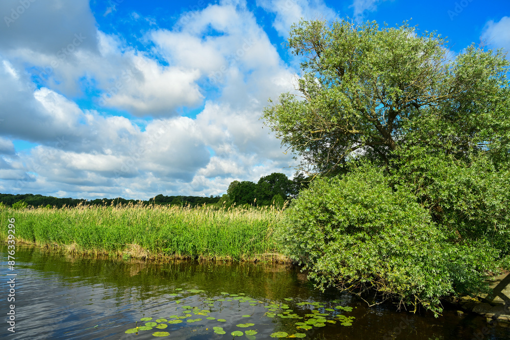 Fototapeta premium Seenlandschaft Schwielowsee Potsdam Mittelmark