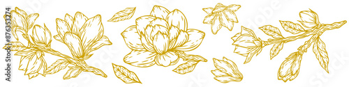 Magnolia, set of flowers and leaves, vector illustration, hand drawn in gold color. Vector magnolia for background, texture, wrapper pattern, frame or border
