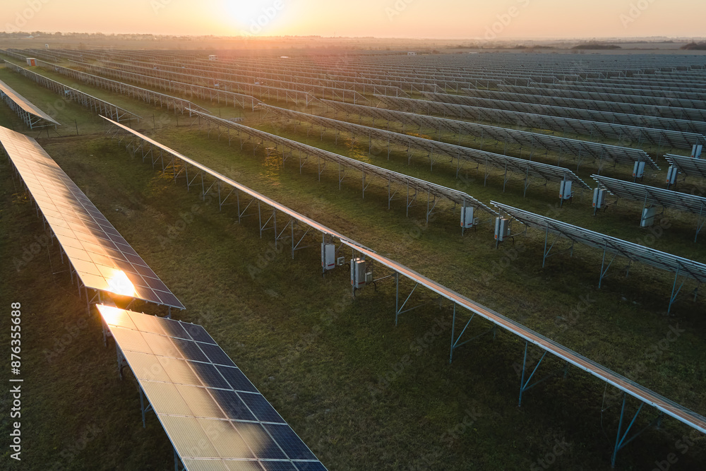 Fototapeta premium Aerial view of big sustainable electric power plant with many rows of solar photovoltaic panels for producing clean electrical energy at sunset. Renewable electricity with zero emission concept