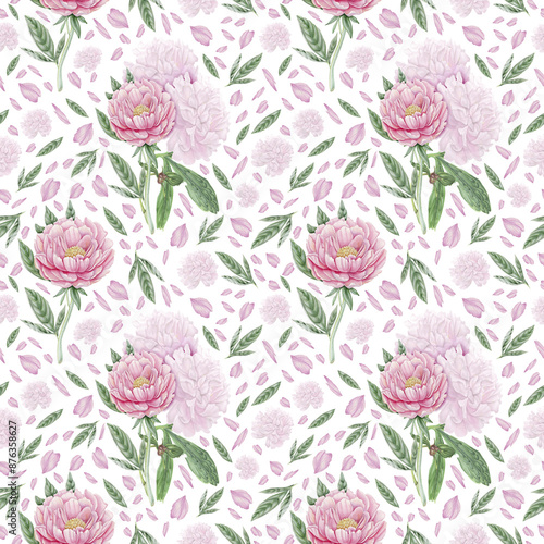 Pink peony seamless pattern on a white background.  Bouquet of peonies, hand painted watercolor texture. 