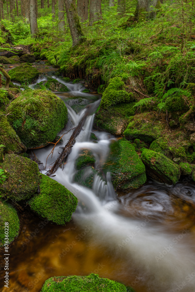 Stribrny creek in Krusne mountains in hot summer day Stribrny creek in Krusne mountains in hot summer day