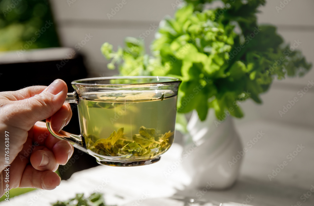 Woman hand holding and drinking Alchemilla vulgaris, common lady's mantle medicinal herbal tea in clear cup. Fresh lady's mantle plants in vase, tea in glass and dried tea powder.
Woman hand holding and drinking Alchemilla vulgaris, common lady's mantle medicinal herbal tea in clear cup. Fresh lady's mantle plants in vase, tea in glass and dried tea powder.