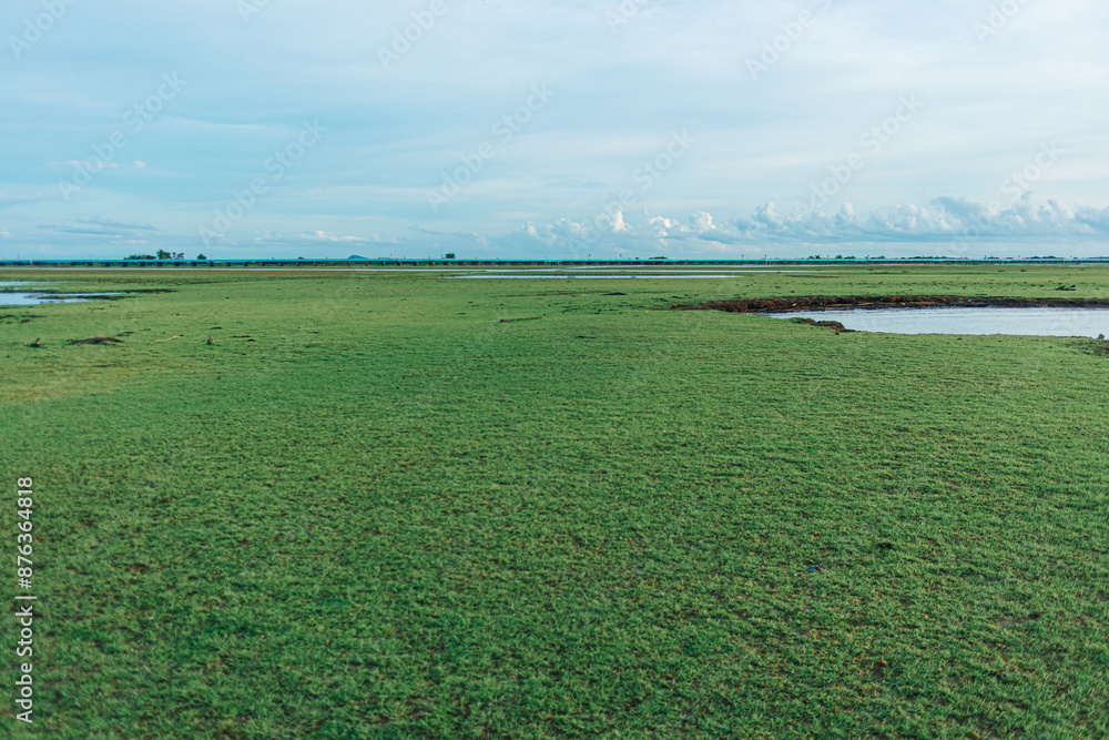 Landscape of marshes wetland of Thale Noi in Phatthalung, Thailand. Landscape of marshes wetland of Thale Noi in Phatthalung, Thailand.