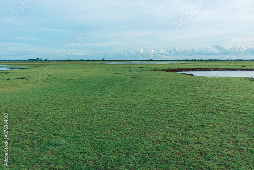 Landscape of marshes wetland of Thale Noi in Phatthalung, Thailand. photo