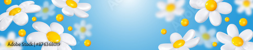 Horizontal long banner with white daisy flowers with yellow cores, on the blue background with place for text. Vector illustration
