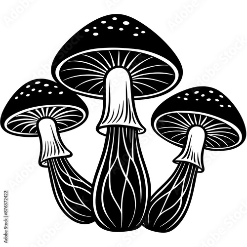 mushrooms fruiting bodies and the mycelium weave