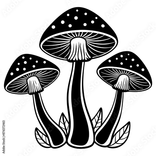 mushrooms fruiting bodies and the mycelium weave