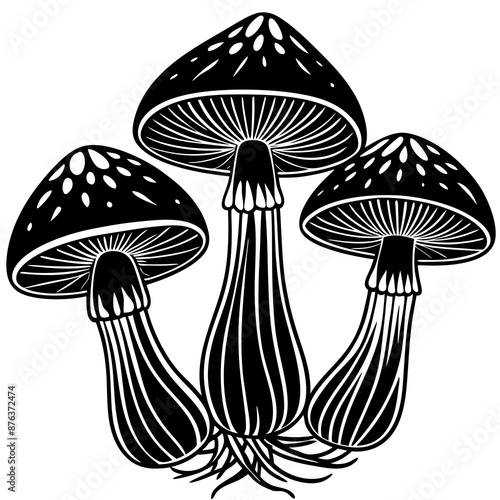 mushrooms fruiting bodies and the mycelium weave