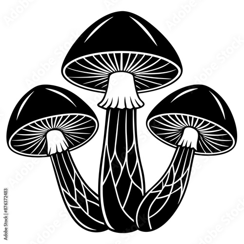 mushrooms fruiting bodies and the mycelium weave