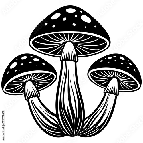 mushrooms fruiting bodies and the mycelium weave