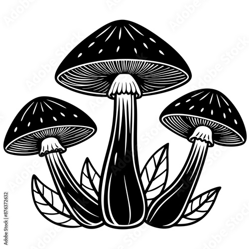 mushrooms fruiting bodies and the mycelium weave