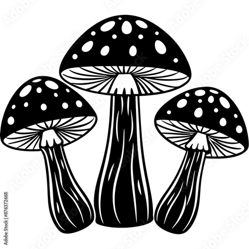 mushrooms fruiting bodies and the mycelium weave