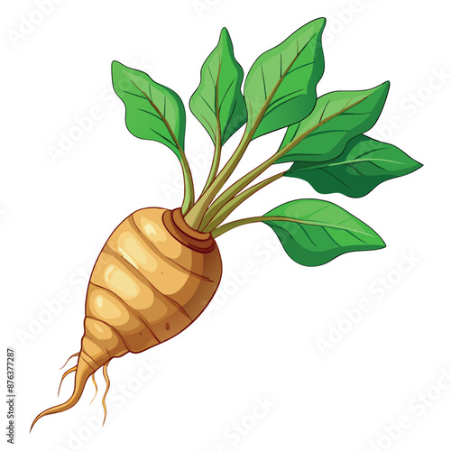 realistic Arrowroot against a white backdrop